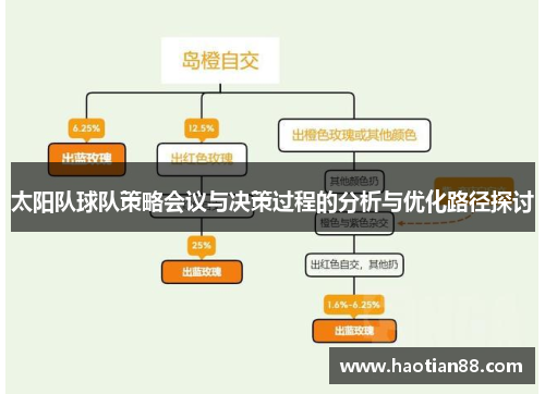 太阳队球队策略会议与决策过程的分析与优化路径探讨