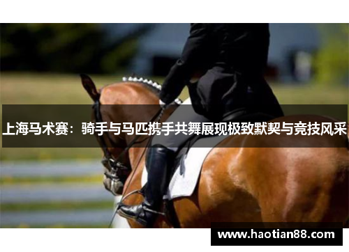 上海马术赛：骑手与马匹携手共舞展现极致默契与竞技风采